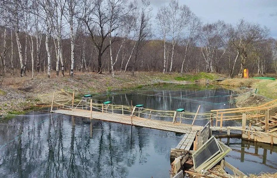 Экологическая ответственность: Баланс между развитием и природой Экологическая ответственность: Баланс между развитием и природой